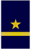 Leutnant zur See